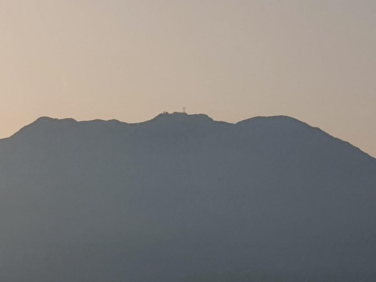 Colle Del Mirto Villa Castelnuovo Cilento Dış mekan fotoğraf