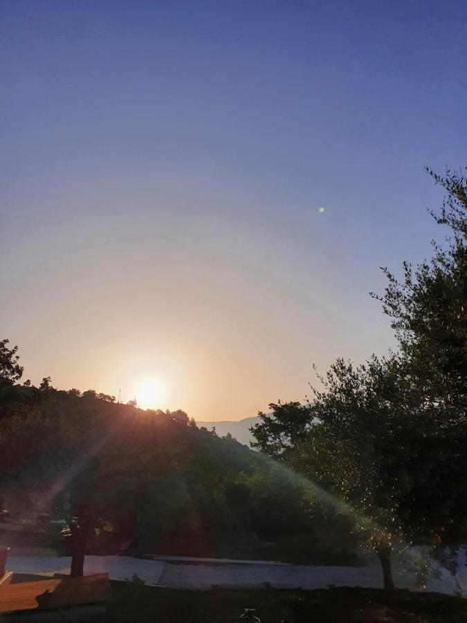 Colle Del Mirto Villa Castelnuovo Cilento Dış mekan fotoğraf